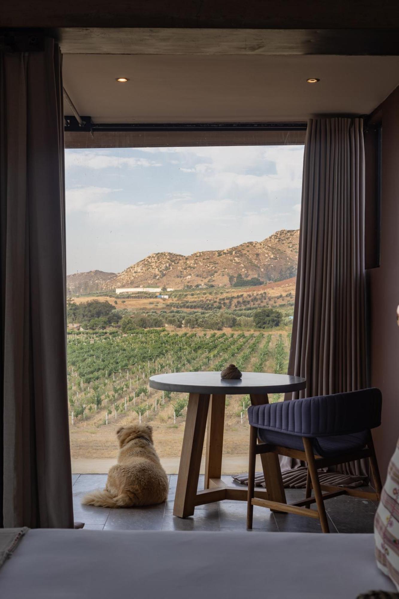 Bruma Wine Resort Valle de Guadalupe Esterno foto