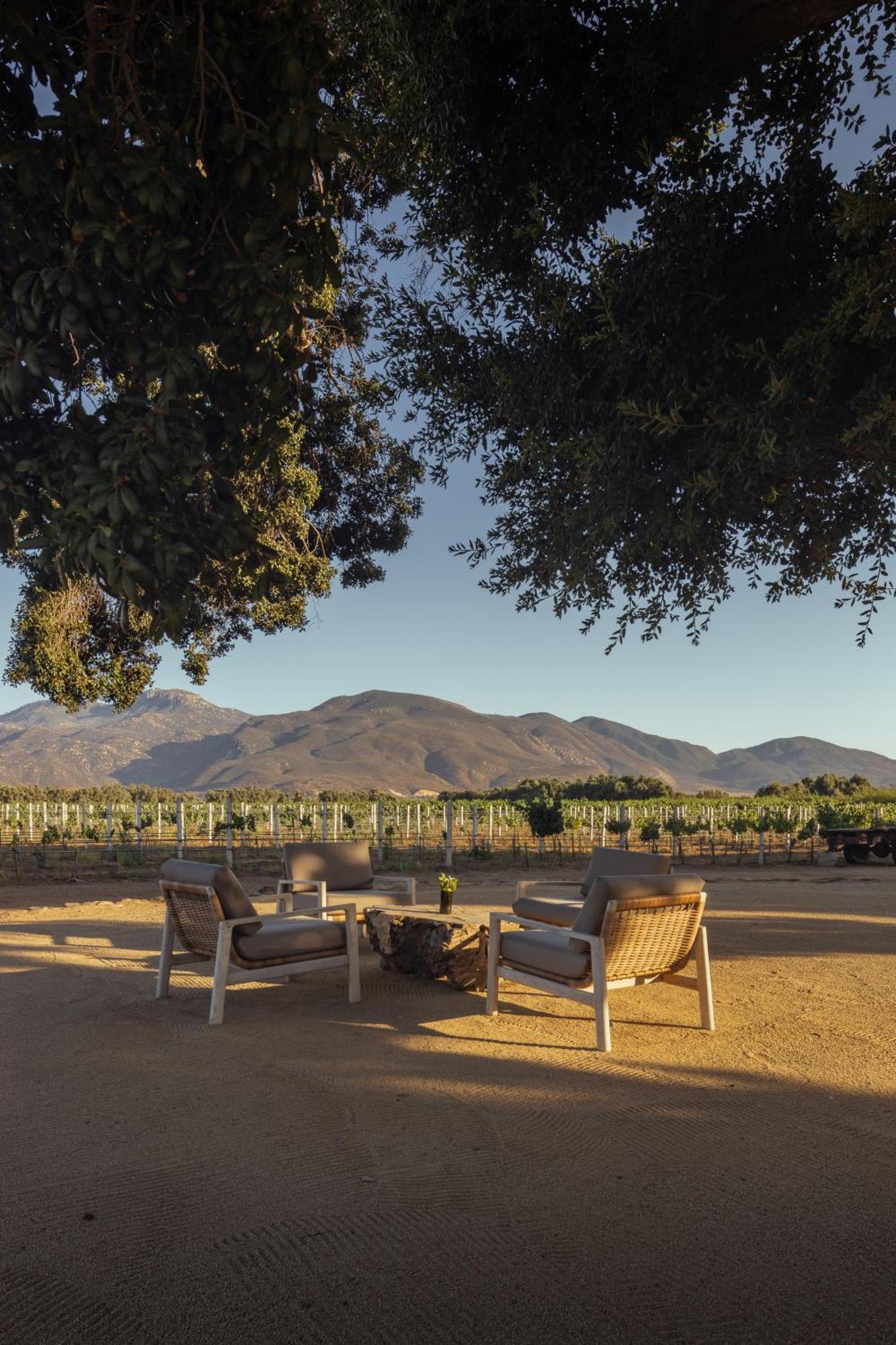 Bruma Wine Resort Valle de Guadalupe Esterno foto