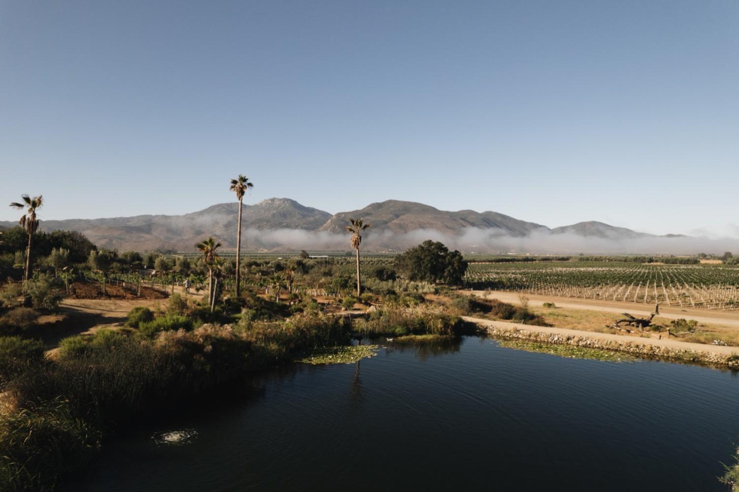 Bruma Wine Resort Valle de Guadalupe Esterno foto