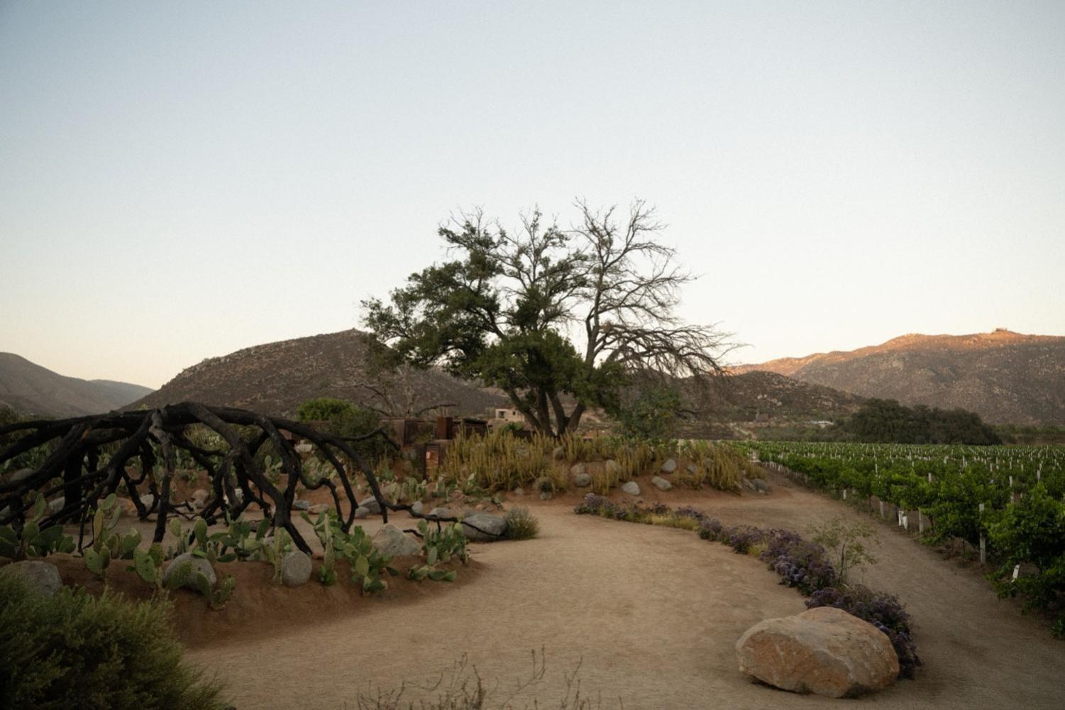 Bruma Wine Resort Valle de Guadalupe Esterno foto